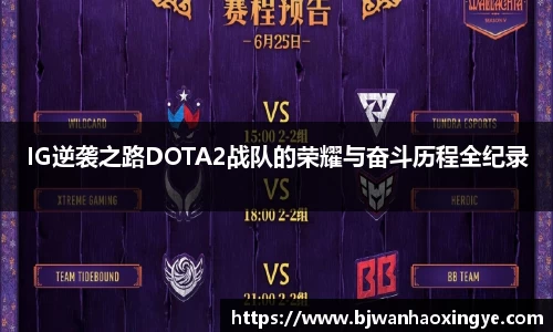 IG逆袭之路DOTA2战队的荣耀与奋斗历程全纪录